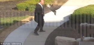 男人的大鸟视频,大鸟视频背后的真实故事