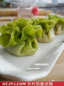 农广天地小吃全部视频,传统美食的传承与创新之旅