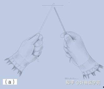 外科器械打结视频,视频教学与实践指南