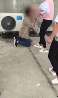 暴力女孩视频,揭秘校园霸凌背后的黑暗面
