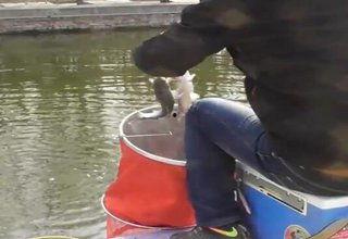 红薯钓鱼视频,创意垂钓新体验，趣味十足引关注