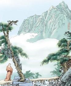 鹿柴视频,探寻自然之美与禅意人生