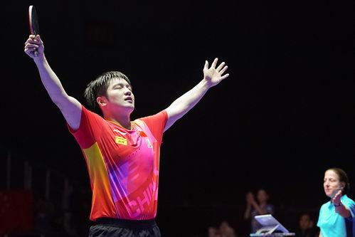 樊振东乒乓球比赛视频,力挽狂澜，展现王者风范