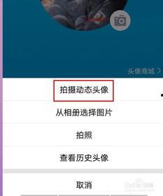 qq如何用视频做头像,视频头像生成教程
