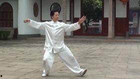 太极拳42式教学视频