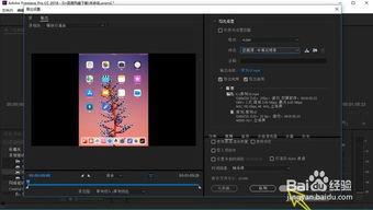 ipad放视频没声音,iPad播放视频无声音故障排查指南