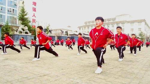 学武术视频