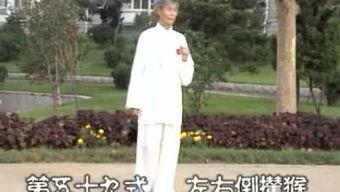 杨式太极拳85式视频,传承经典,动静相宜的养生之道